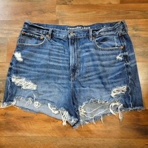 American Eagle 90's Boyfriend Short